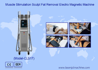 سوختن چربی از دست دادن وزن Ems Rf دستگاه مجسمه سازی الکترومغناطیسی بدن